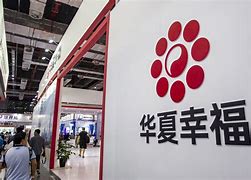 华夏幸福经纪改良戏剧斤两共振，赴北欧探索期望队伍